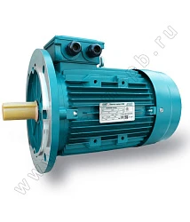 Электродвигатель ESQ 355MA6-SDN-160/1000